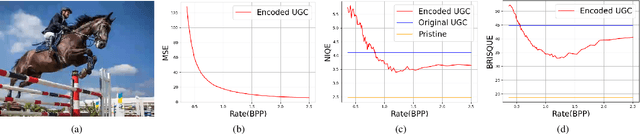 Figure 1 for Rate-Distortion Optimization With Alternative References For UGC Video Compression