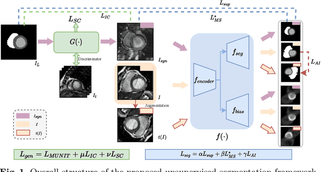 Figure 1 for Unsupervised Cardiac Segmentation Utilizing Synthesized Images from Anatomical Labels
