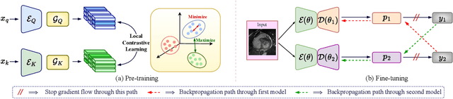 Figure 3 for IDEAL: Improved DEnse locAL Contrastive Learning for Semi-Supervised Medical Image Segmentation