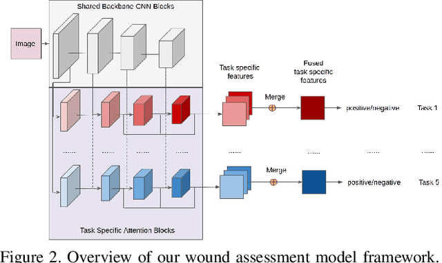 Figure 3 for Development of a deep learning-based tool to assist wound classification