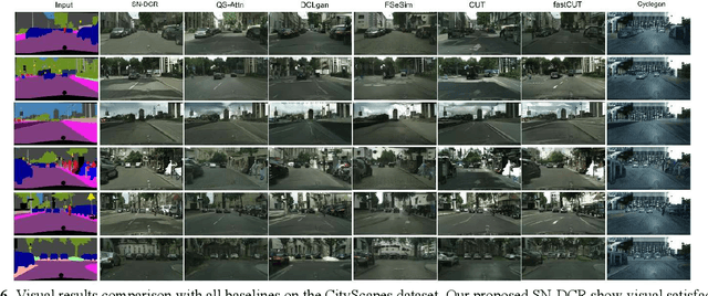 Figure 4 for Spectral normalized dual contrastive regularization for image-to-image translation