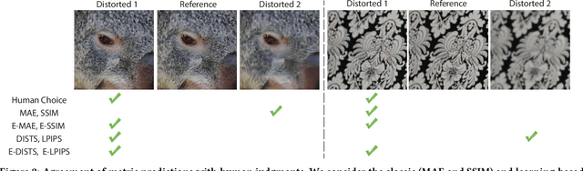 Figure 2 for Enhancing image quality prediction with self-supervised visual masking