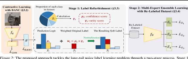 Figure 3 for Addressing Long-Tail Noisy Label Learning Problems: a Two-Stage Solution with Label Refurbishment Considering Label Rarity