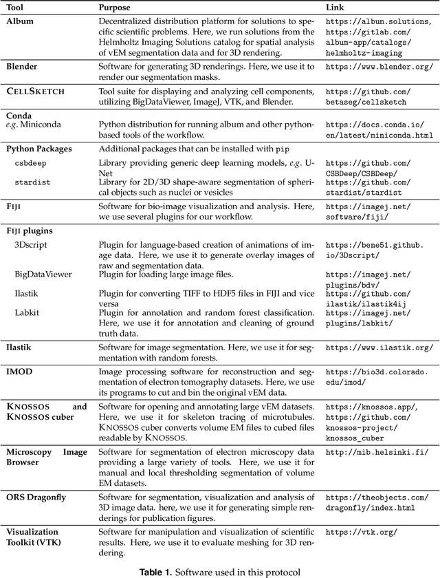 Figure 2 for Organelle-specific segmentation, spatial analysis, and visualization of volume electron microscopy datasets