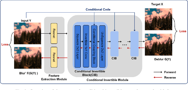 Figure 3 for Neural Invertible Variable-degree Optical Aberrations Correction