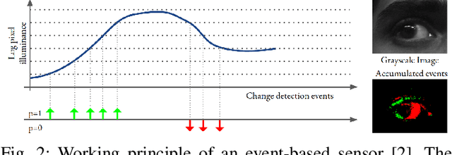 Figure 2 for Gaze-Vector Estimation in the Dark with Temporally Encoded Event-driven Neural Networks