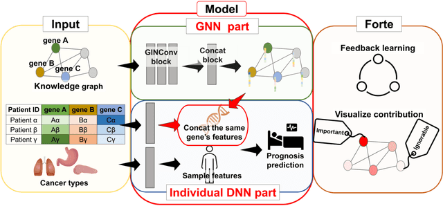 Figure 1 for An end-to-end framework for gene expression classification by integrating a background knowledge graph: application to cancer prognosis prediction