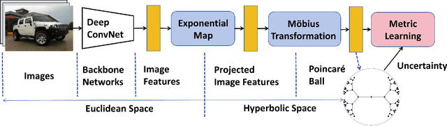 Figure 1 for Hyp-UML: Hyperbolic Image Retrieval with Uncertainty-aware Metric Learning