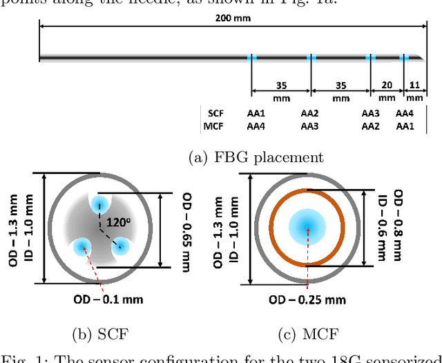 Figure 1 for Optical Fiber-Based Needle Shape Sensing in Real Tissue: Single Core vs. Multicore Approaches