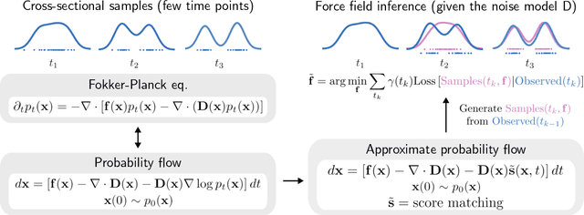 Figure 1 for Stochastic force inference via density estimation