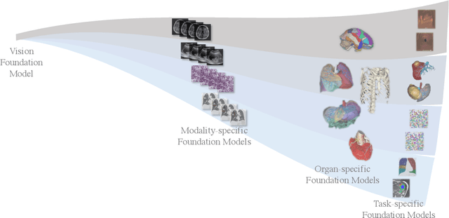 Figure 1 for On the Challenges and Perspectives of Foundation Models for Medical Image Analysis
