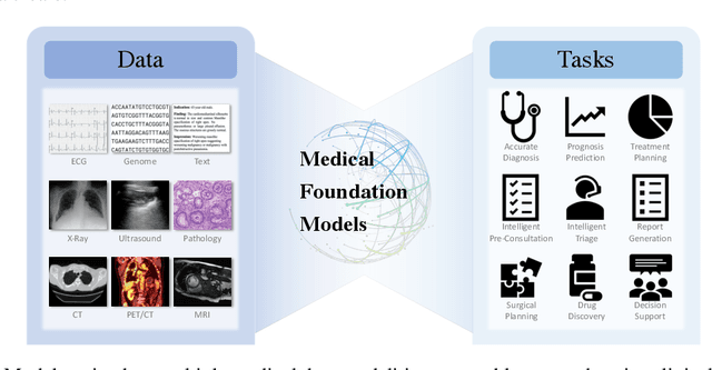 Figure 3 for On the Challenges and Perspectives of Foundation Models for Medical Image Analysis