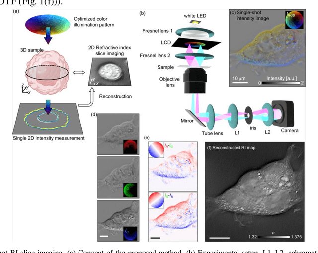Figure 1 for Single-shot refractive index slice imaging using spectrally multiplexed optical transfer function reshaping