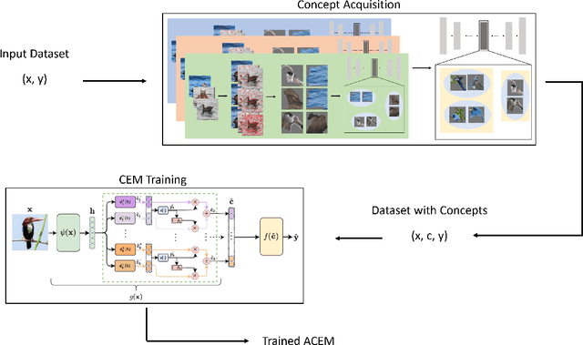 Figure 1 for Automatic Concept Embedding Model (ACEM): No train-time concepts, No issue!