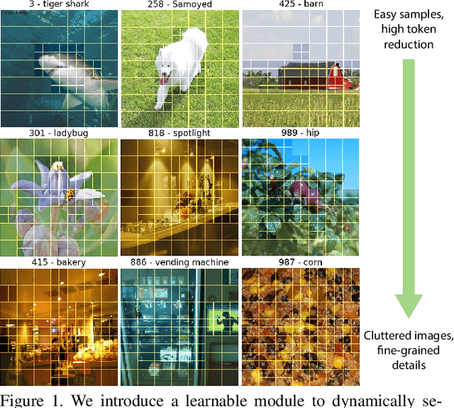 Figure 1 for MSViT: Dynamic Mixed-Scale Tokenization for Vision Transformers