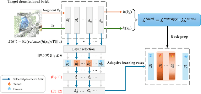 Figure 1 for PALM: Pushing Adaptive Learning Rate Mechanisms for Continual Test-Time Adaptation