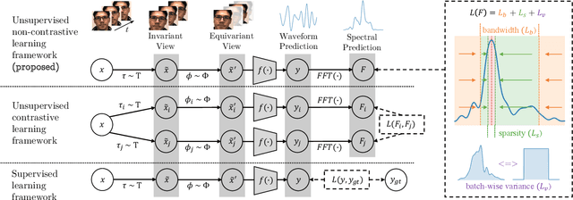 Figure 1 for Non-Contrastive Unsupervised Learning of Physiological Signals from Video