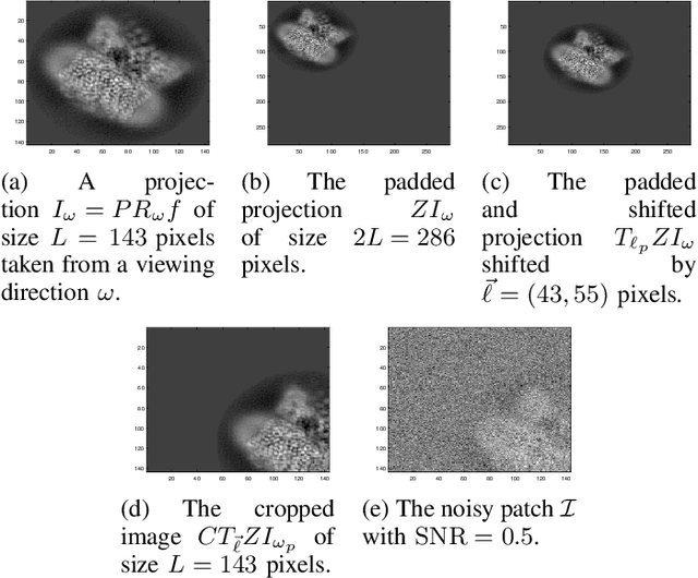 Figure 2 for A stochastic approximate expectation-maximization for structure determination directly from cryo-EM micrographs