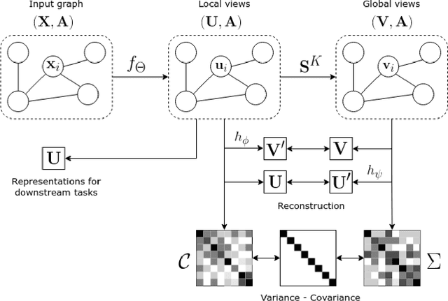 Figure 1 for RGI : Regularized Graph Infomax for self-supervised learning on graphs