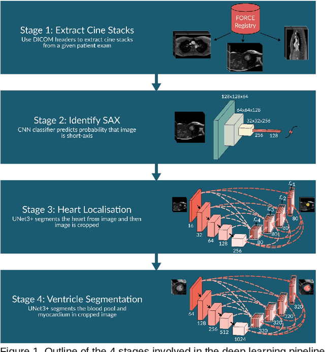 Figure 1 for Deep Learning Pipeline for Preprocessing and Segmenting Cardiac Magnetic Resonance of Single Ventricle Patients from an Image Registry