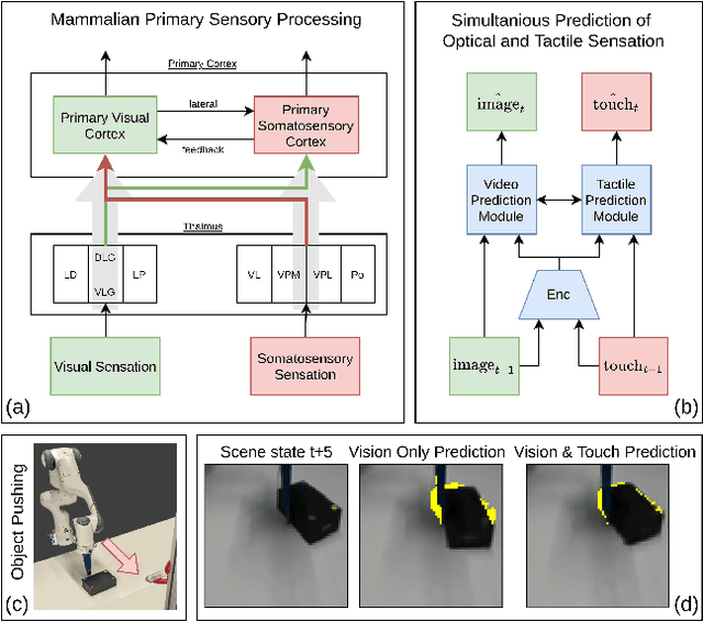 Figure 1 for Combining Vision and Tactile Sensation for Video Prediction