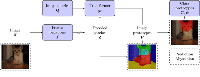 Figure 4 for Scalable and Robust Transformer Decoders for Interpretable Image Classification with Foundation Models
