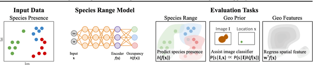 Figure 1 for Spatial Implicit Neural Representations for Global-Scale Species Mapping