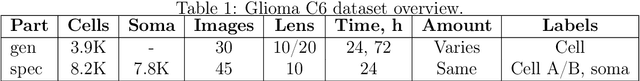 Figure 1 for Glioma C6: A Novel Dataset for Training and Benchmarking Cell Segmentation