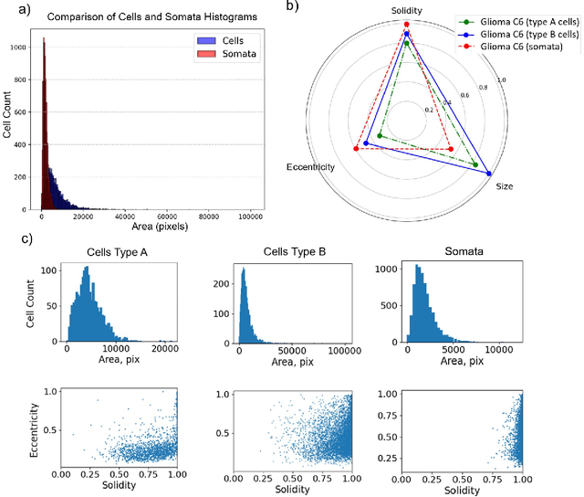 Figure 3 for Glioma C6: A Novel Dataset for Training and Benchmarking Cell Segmentation