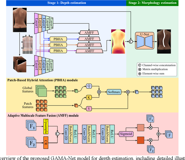 Figure 1 for A Dual-Feature Extractor Framework for Accurate Back Depth and Spine Morphology Estimation from Monocular RGB Images