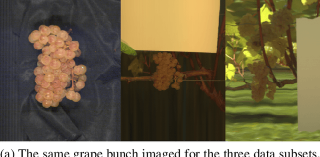 Figure 2 for In-Field Mapping of Grape Yield and Quality with Illumination-Invariant Deep Learning
