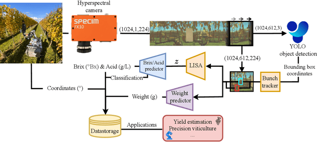 Figure 3 for In-Field Mapping of Grape Yield and Quality with Illumination-Invariant Deep Learning