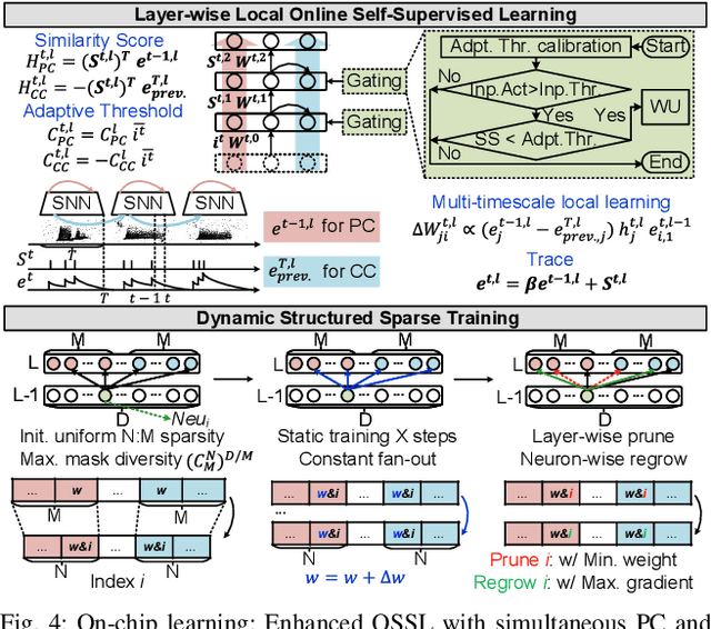 Figure 4 for ElfCore: A 28nm Neural Processor Enabling Dynamic Structured Sparse Training and Online Self-Supervised Learning with Activity-Dependent Weight Update