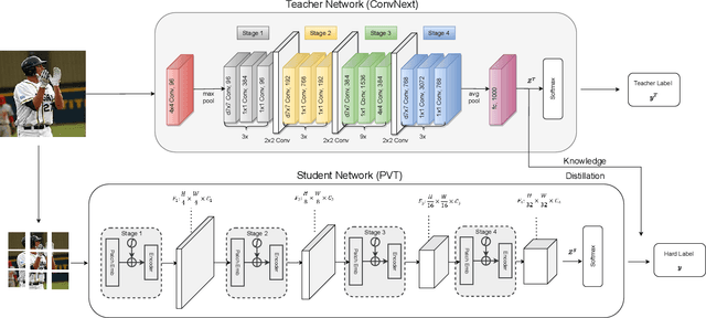Figure 1 for Distilling Knowledge from CNN-Transformer Models for Enhanced Human Action Recognition