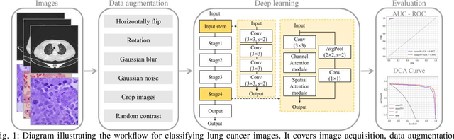 Figure 1 for Classification based deep learning models for lung cancer and disease using medical images
