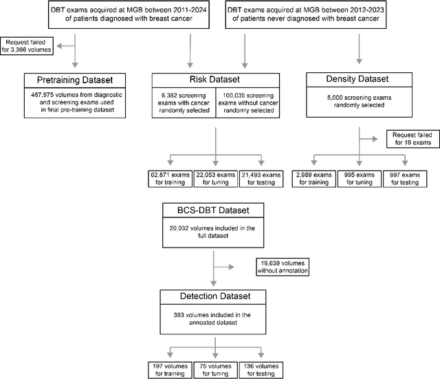 Figure 1 for DBT-DINO: Towards Foundation model based analysis of Digital Breast Tomosynthesis