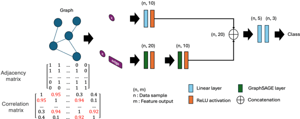 Figure 1 for Arrhythmia Classification Using Graph Neural Networks Based on Correlation Matrix