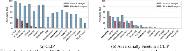 Figure 1 for Understanding Zero-Shot Adversarial Robustness for Large-Scale Models