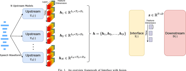 Figure 1 for Unifying Model and Layer Fusion for Speech Foundation Models