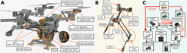 Figure 2 for Dynamic Quadrupedal Legged and Aerial Locomotion via Structure Repurposing