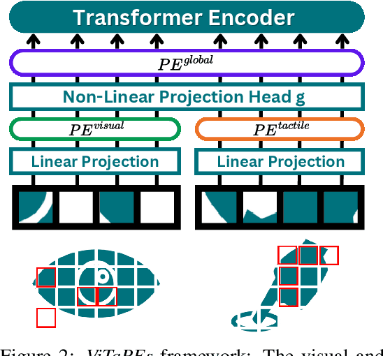 Figure 3 for ViTaPEs: Visuotactile Position Encodings for Cross-Modal Alignment in Multimodal Transformers