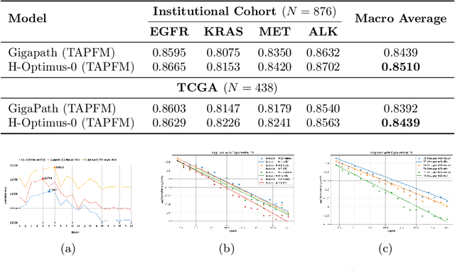 Figure 4 for Single GPU Task Adaptation of Pathology Foundation Models for Whole Slide Image Analysis