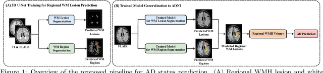 Figure 1 for Deep Learning-Based Regional White Matter Hyperintensity Mapping as a Robust Biomarker for Alzheimer's Disease