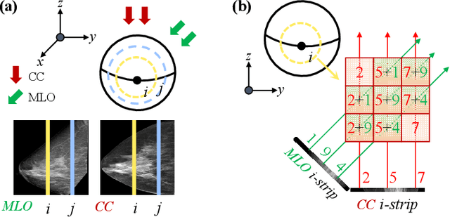 Figure 2 for Bidirectional Mammogram View Translation with Column-Aware and Implicit 3D Conditional Diffusion