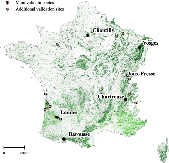 Figure 4 for FORMSpoT: A Decade of Tree-Level, Country-Scale Forest Monitoring