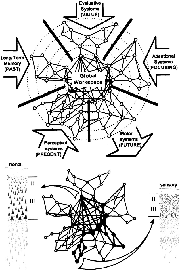 Figure 3 for Consciousness in Artificial Intelligence: Insights from the Science of Consciousness