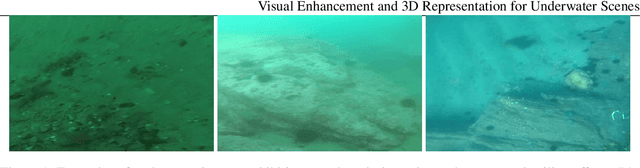 Figure 1 for Visual enhancement and 3D representation for underwater scenes: a review