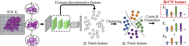 Figure 3 for Domain Generalization of Pathological Image Segmentation by Patch-Level and WSI-Level Contrastive Learning