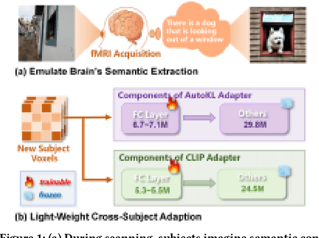 Figure 1 for NeuroSwift: A Lightweight Cross-Subject Framework for fMRI Visual Reconstruction of Complex Scenes