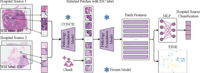 Figure 2 for Adversarial Hospital-Invariant Feature Learning for WSI Patch Classification